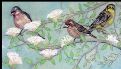 Three Birds
(watercolor)